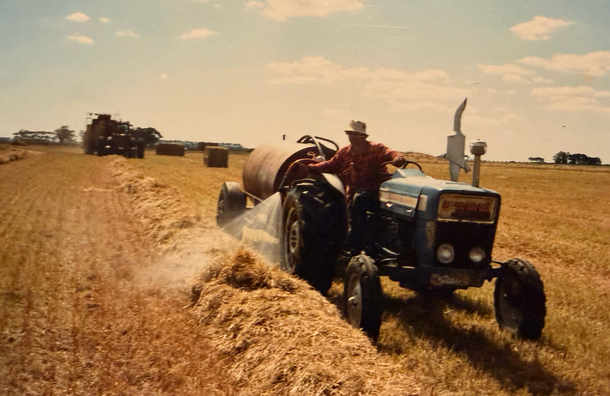 A vintage blue tractor with a person driving it in a harvested field, spraying straw or hay while a combine passes in the background under a cloudy sky.