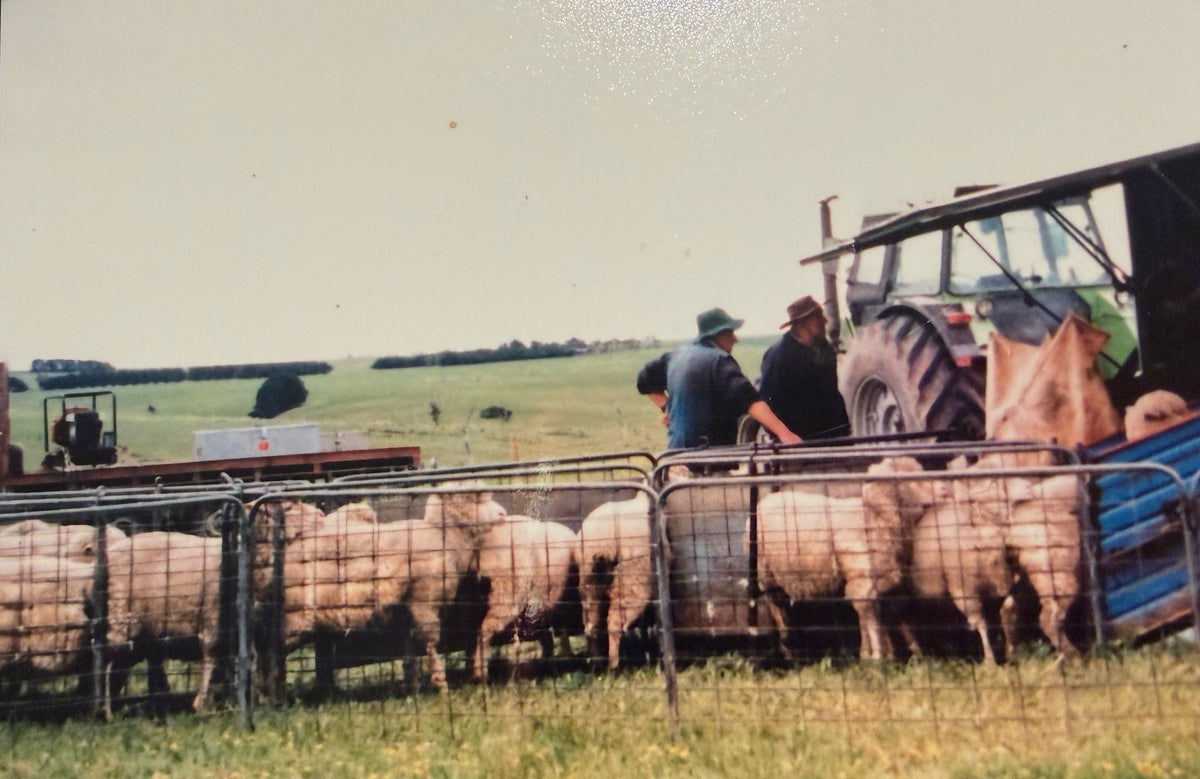 A rural farm scene with several sheep behind a metal fence next to a tractor, with two people standing beside the tractor and a blue metal gate or container on the right.