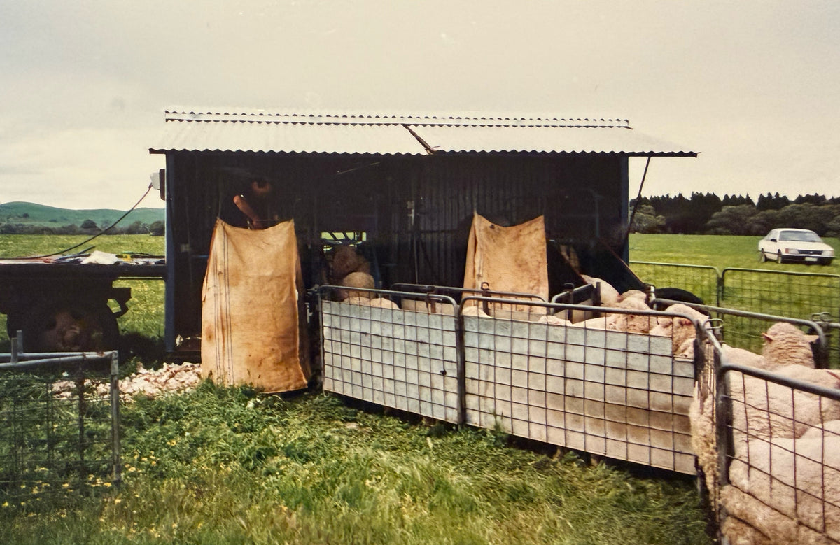 A rustic outdoor farm scene with a small metal shed, wire fencing, sheep on the right, and a white car parked in the grassy field under an overcast sky.