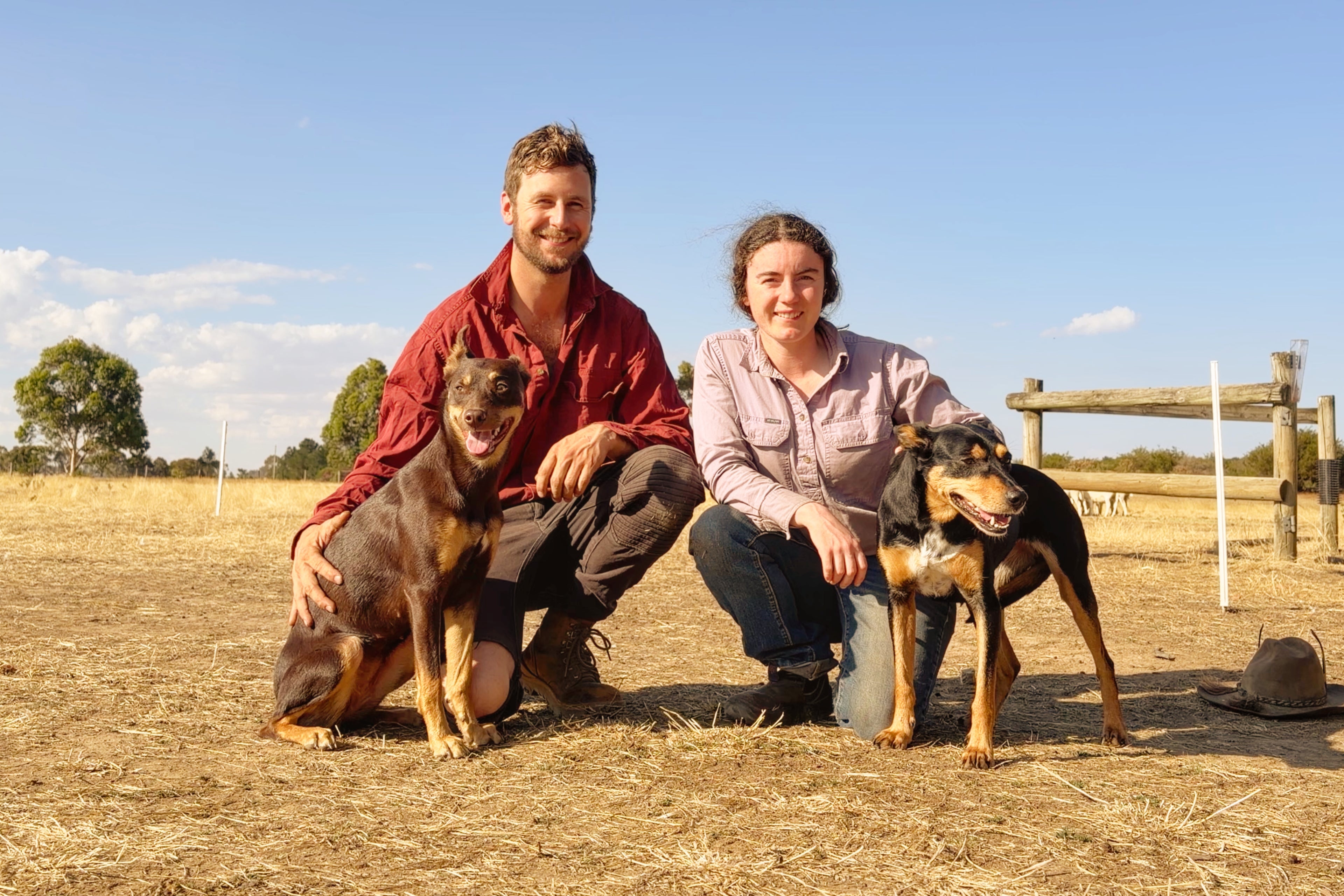 Two people with two dogs in an open field on a sunny day