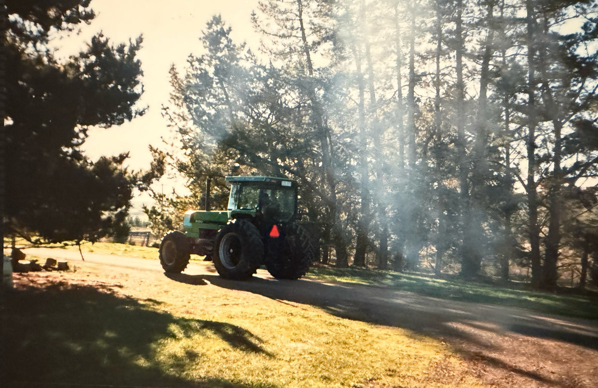 A green tractor drives along a dirt road surrounded by tall trees in a sunlit outdoor setting.