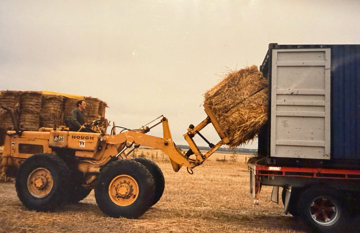 A yellow Hough front loader transfers a large hay bale into a blue and white trailer in an open field under an overcast sky.