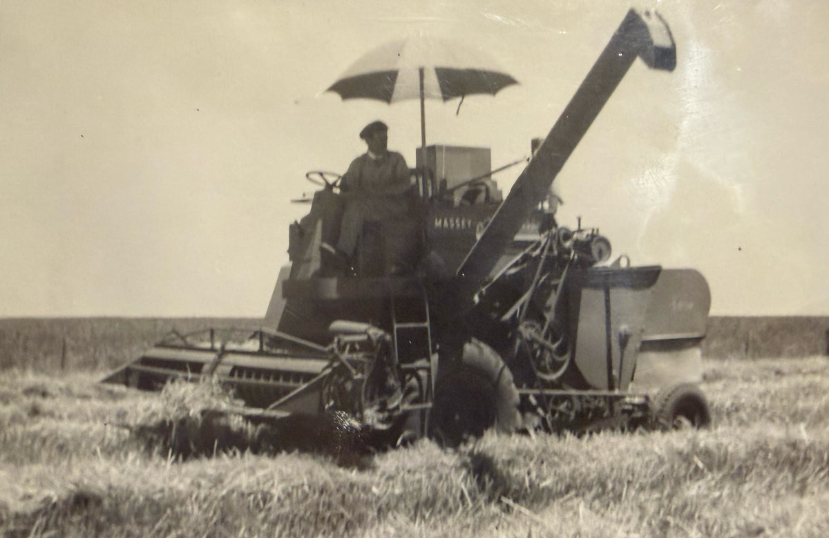 A vintage black and white photograph showing a combine harvester working in a field, with a person seated in the cab under a large umbrella.
